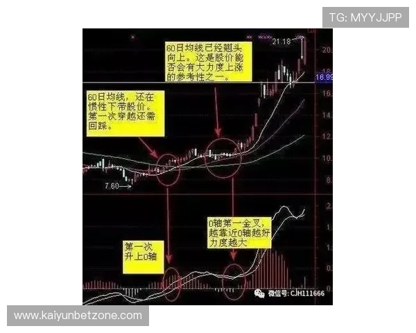 德甲让球盘口深度解析与投注技巧全方位指南